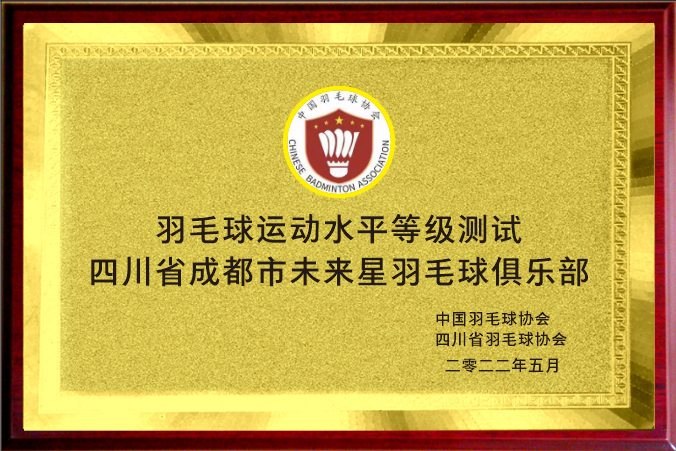 羽毛球运动水平等级测试机构